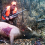 This client shot his first Elk at 300 yds. using a Sako Tecomate in 300 WSM and a Swarovski Z5 3.5-18x44 scope with the ballistic turret. He adjusted the turret to 300 yds. and achieved a great shoulder shot, right at the point of aim.